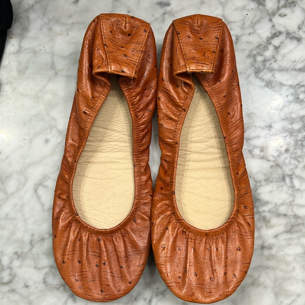 The storehouse flats (size 12)